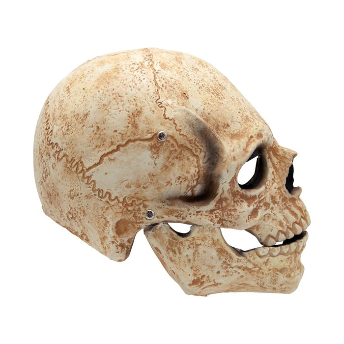 Detailed full head skull mask with moving jaw