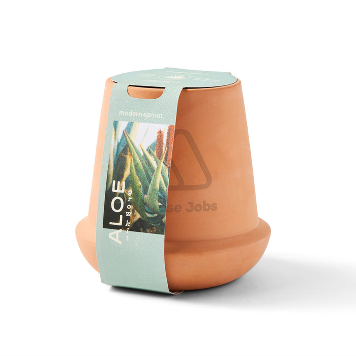 Modern Sprout® Modern Terracotta Grow Kit Aloe