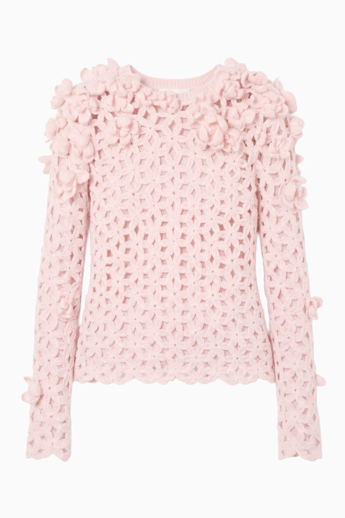 Bendetta Crochet Pullover with Embroidered Flowers- Powder