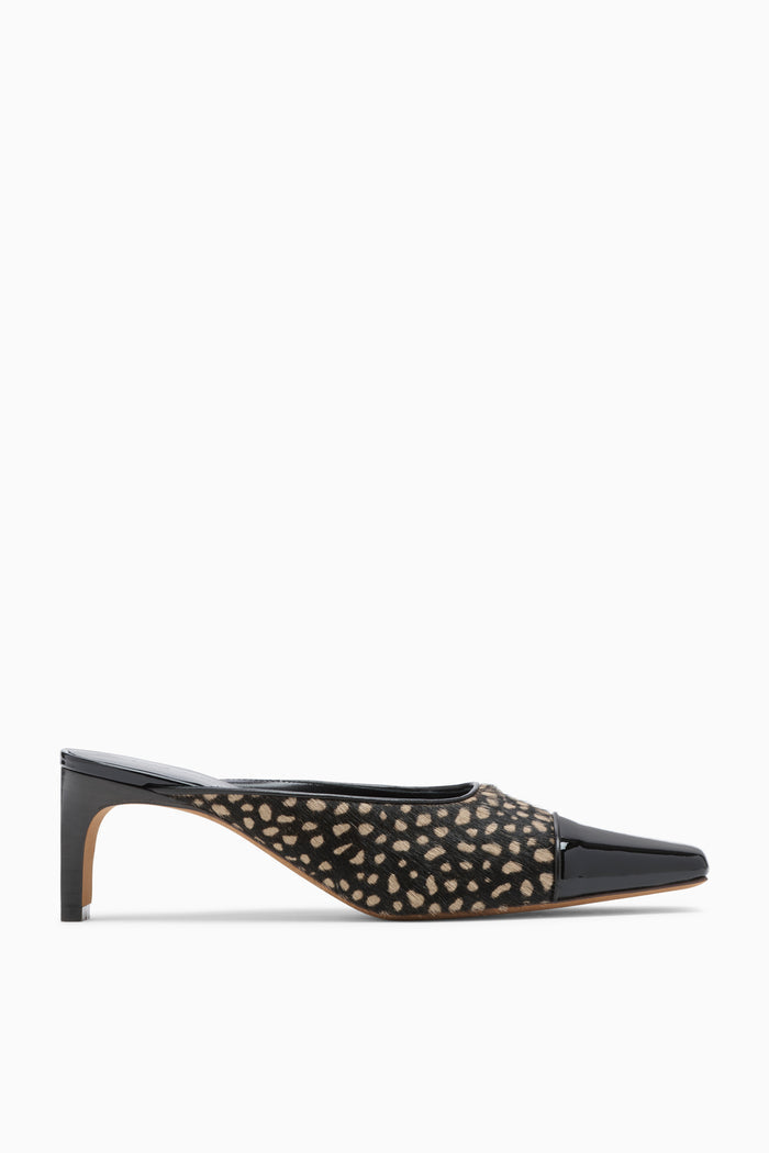 Carlyle Mule - Spotted