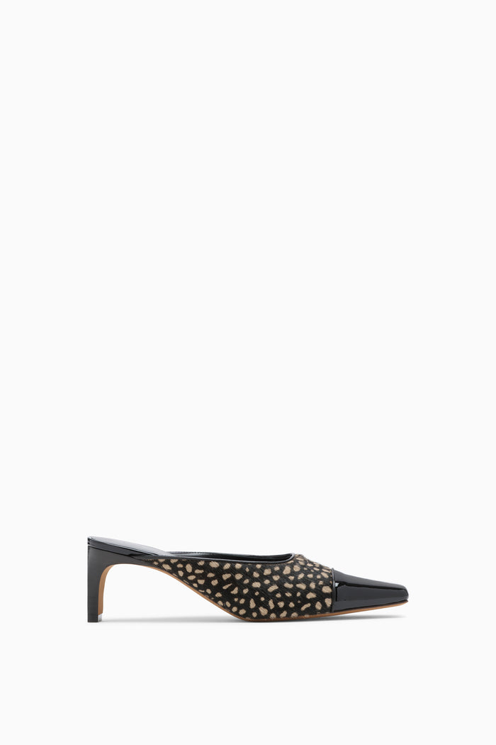 Carlyle Mule - Spotted