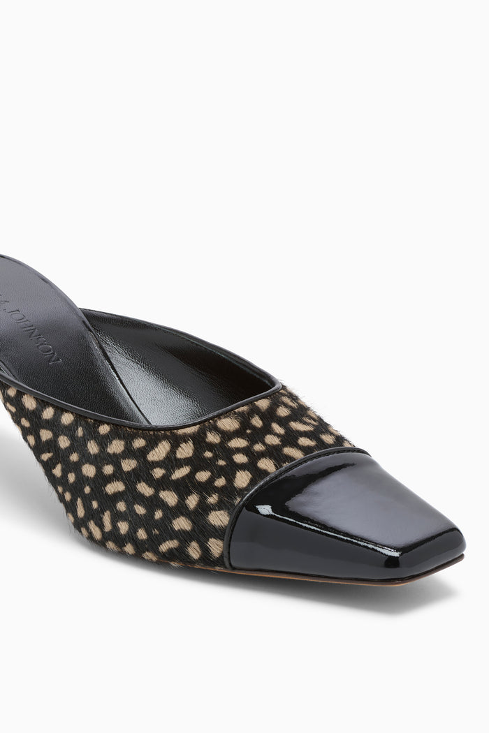 Carlyle Mule - Spotted