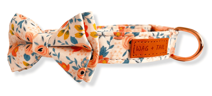 Classic Bow Tie Dog Collar in Rose Bloom floral print showing removable bow tie and adjustable collar