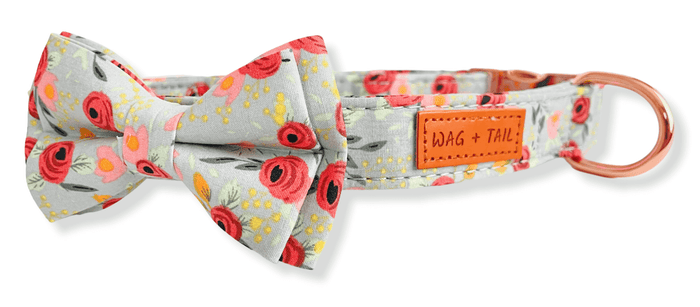 Classic Bow Tie Dog Collar in Ivy Magnolia floral print showing green and white bow tie detail
