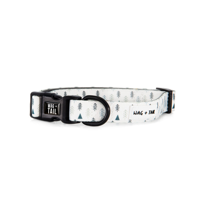 Frosted Pines dog collar lifestyle shot showing collar on dog showing fit and scale