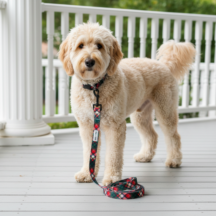 Wag + Tail Pawsitively Festive dog leash showing festive seasonal pattern and clip hardware