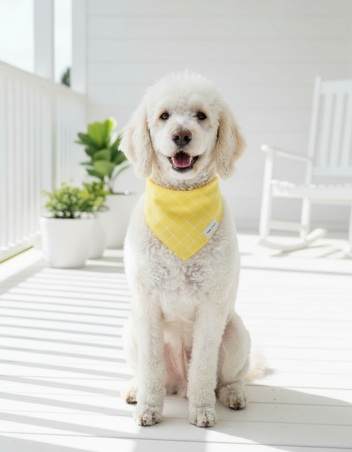One size / Sunny Stripe