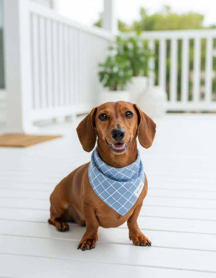 Wag + Tail Aqua Stripe dog scarf showing teal and white stripe pattern flat lay