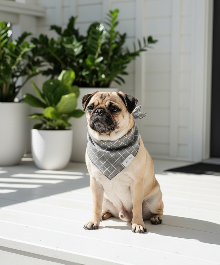 Wag + Tail Midnight Stripe dog scarf showing dark navy stripe pattern flat lay
