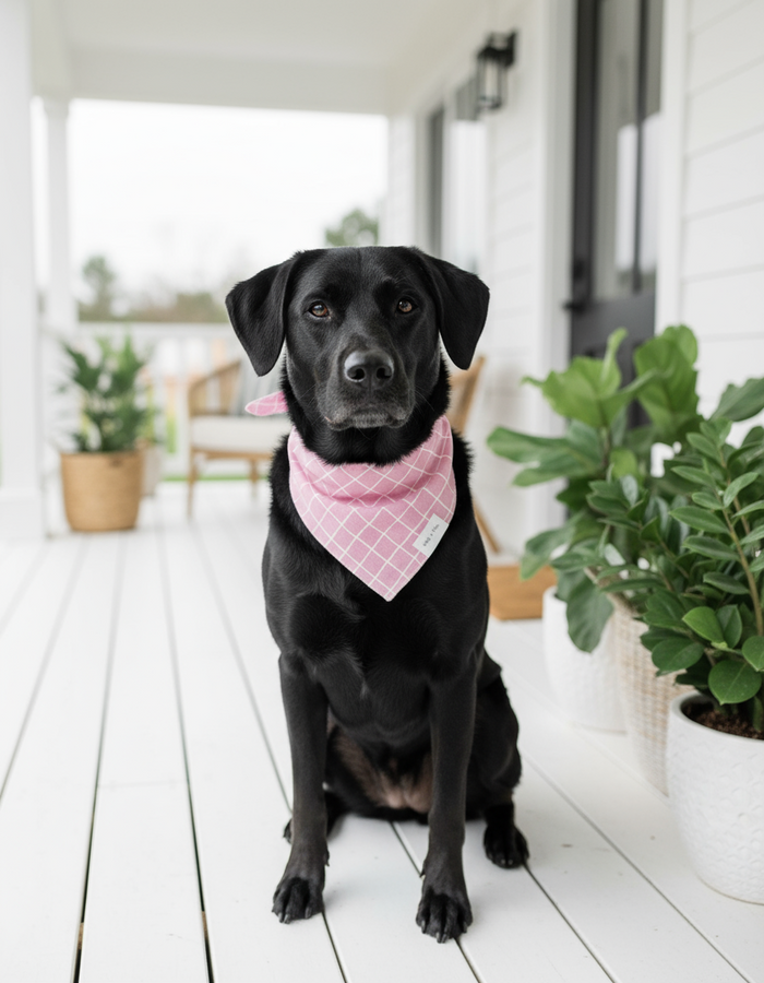 Wag + Tail Flamingo Stripe dog scarf showing pink flamingo-toned stripe pattern