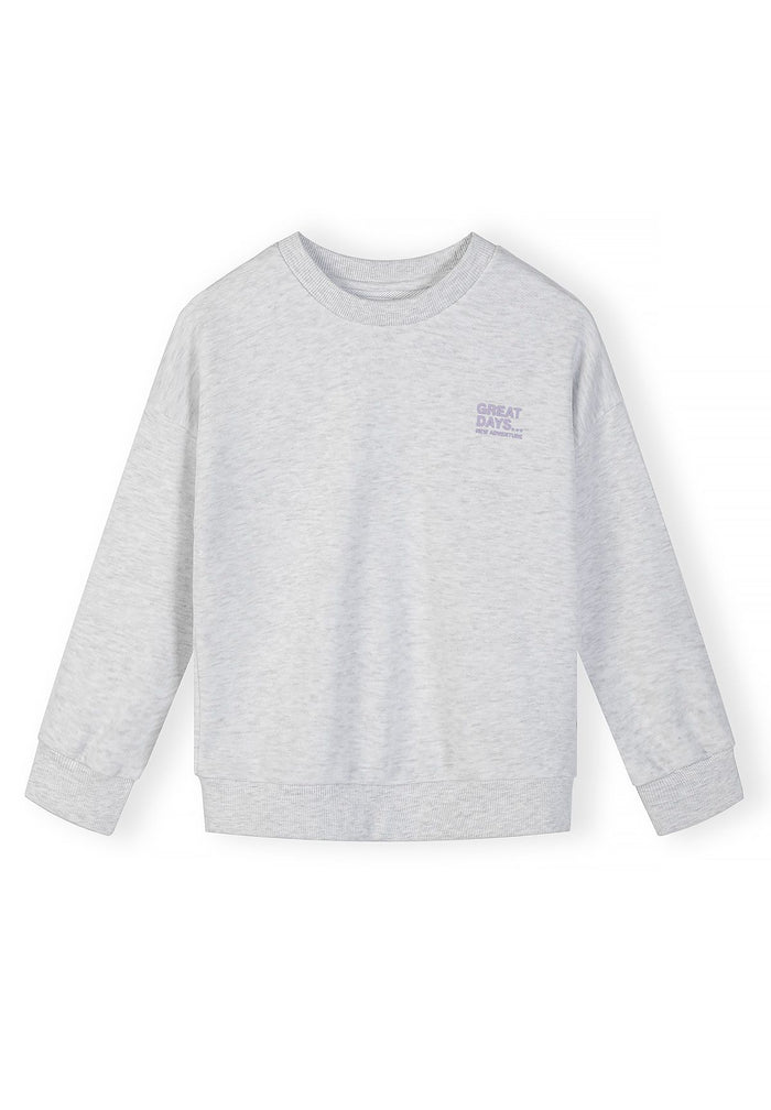 Sweatshirts 2-Pack Chest Print, Lilac Grey - 5