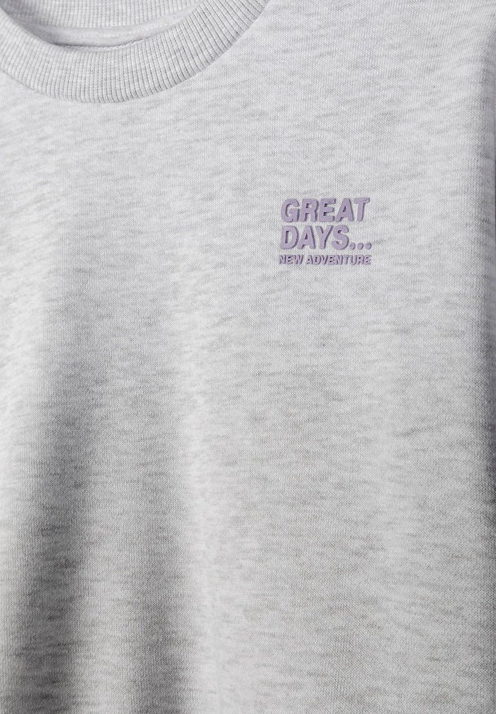 Sweatshirts 2-Pack Chest Print, Lilac Grey - 7