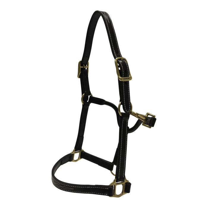 Huntley Equestrian Fancy Stitched Pony Halter