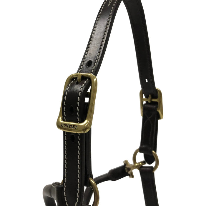 Huntley Equestrian Fancy Stitched Pony Halter