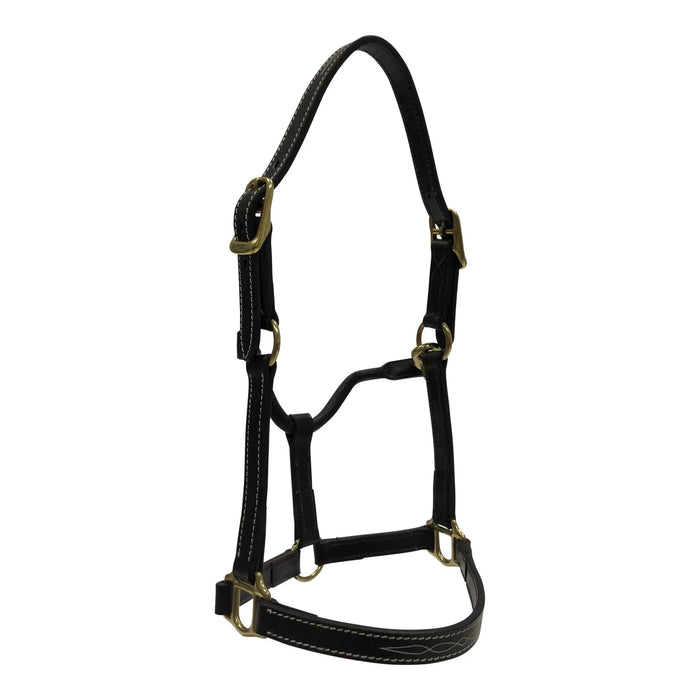 Huntley Equestrian Fancy Stitched Pony Halter