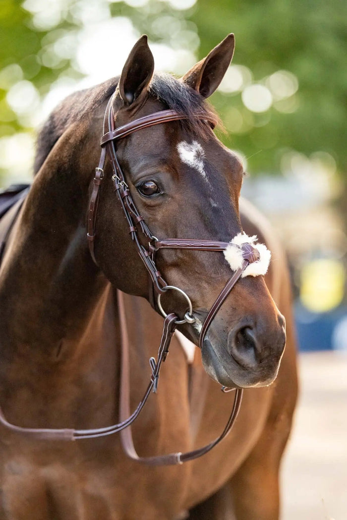 Huntley Equestrian Figure 8 Bridle