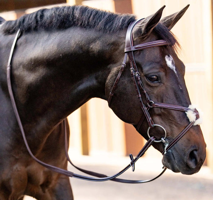 Huntley Equestrian Figure 8 Bridle