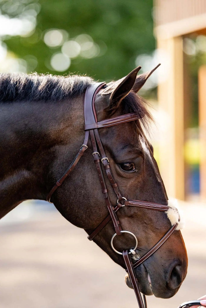 Huntley Equestrian Figure 8 Bridle