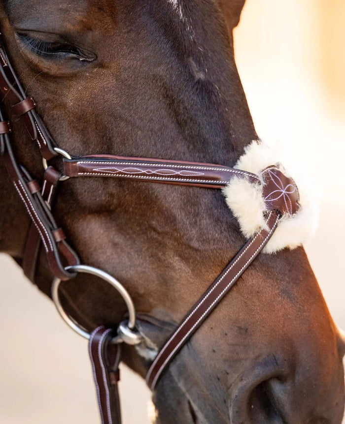 Huntley Equestrian Figure 8 Bridle