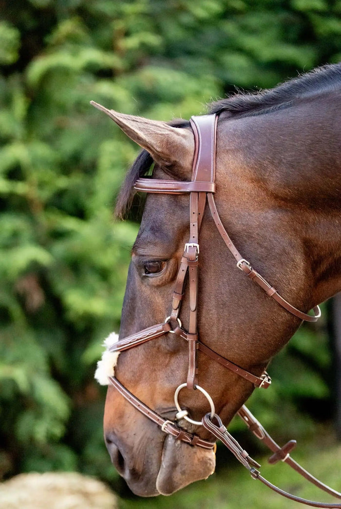 Huntley Equestrian Figure 8 Bridle