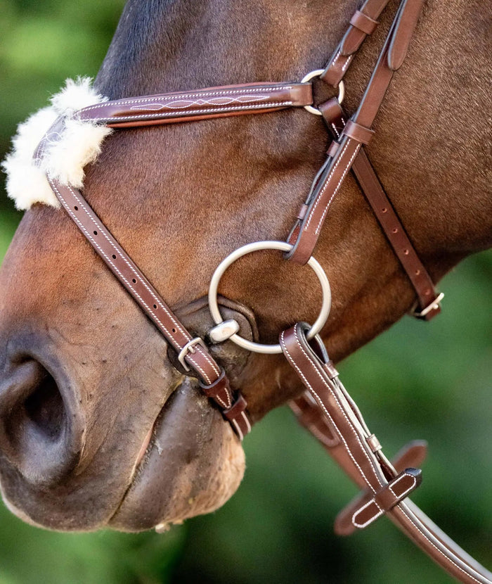 Huntley Equestrian Figure 8 Bridle