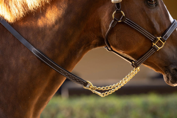 Huntley Equestrian Leather Lead