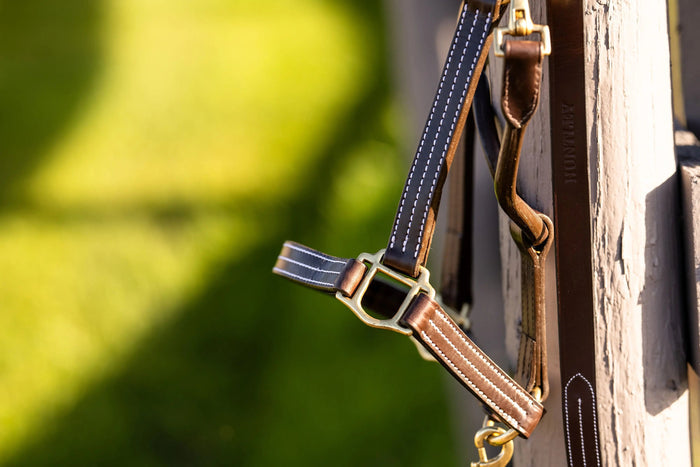 Huntley Equestrian Leather Lead