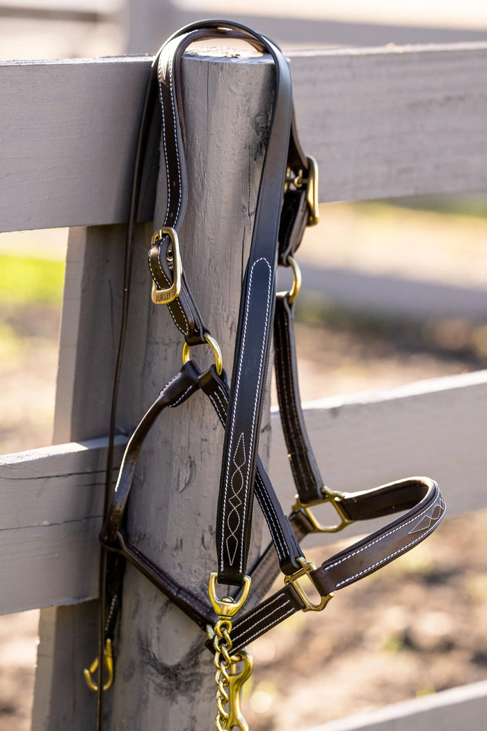 Huntley Equestrian Leather Lead