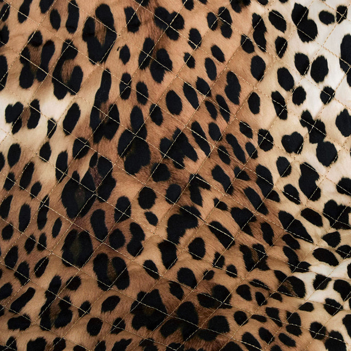 Close-up of a leopard print pattern