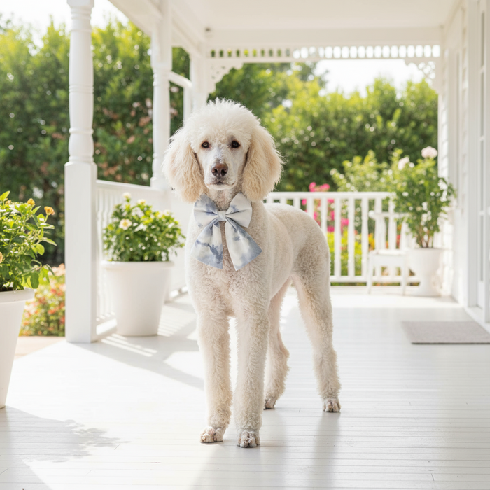 Luxe Bow Tie Dog Collar in Twinkle Marble soft marble print on white background