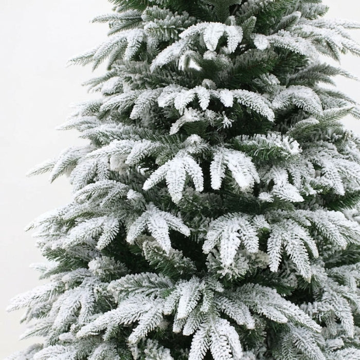 Frosted Christmas tree with snow on branches against a white background