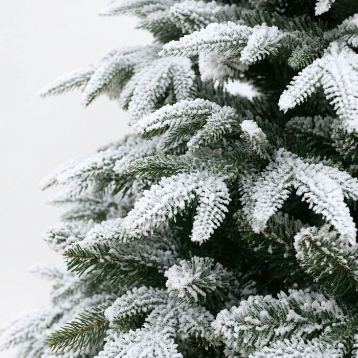 Close-up of a snow-covered pine tree