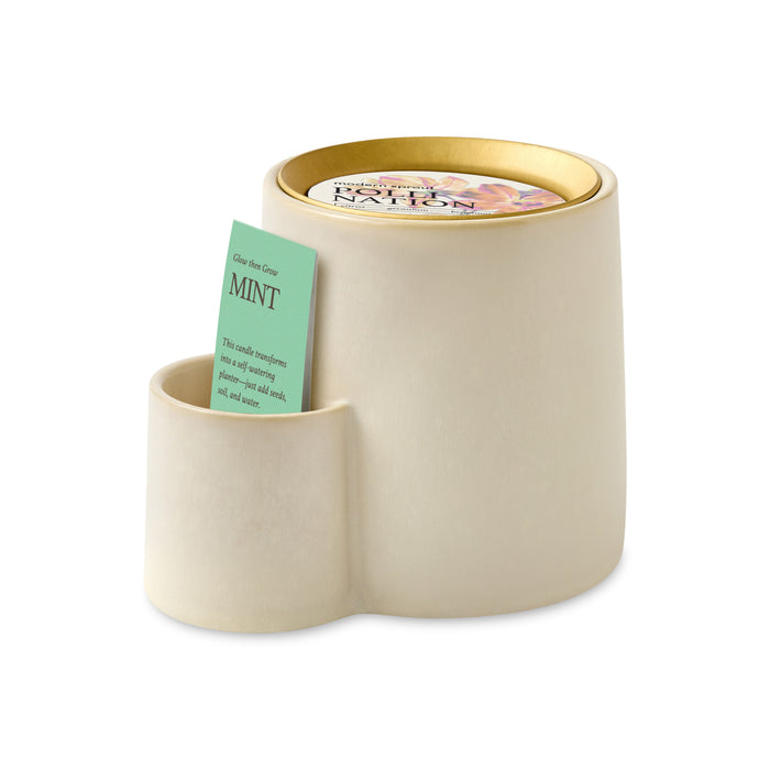 Modern Sprout Ember Earth Candle + Planter