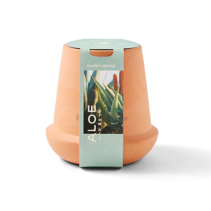 Modern Sprout® Modern Terracotta Grow Kit Aloe