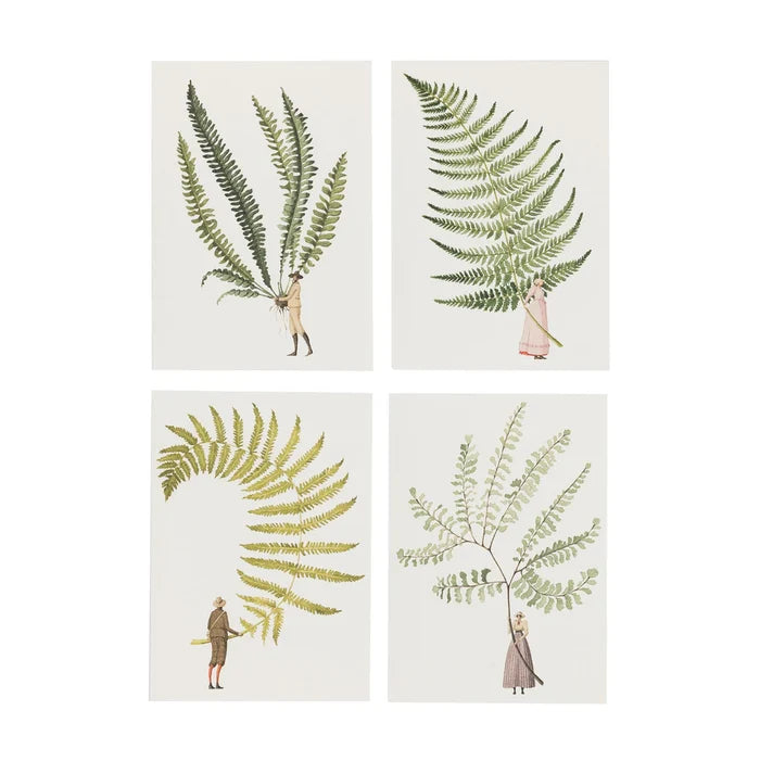 Notecards - Fabulous Ferns