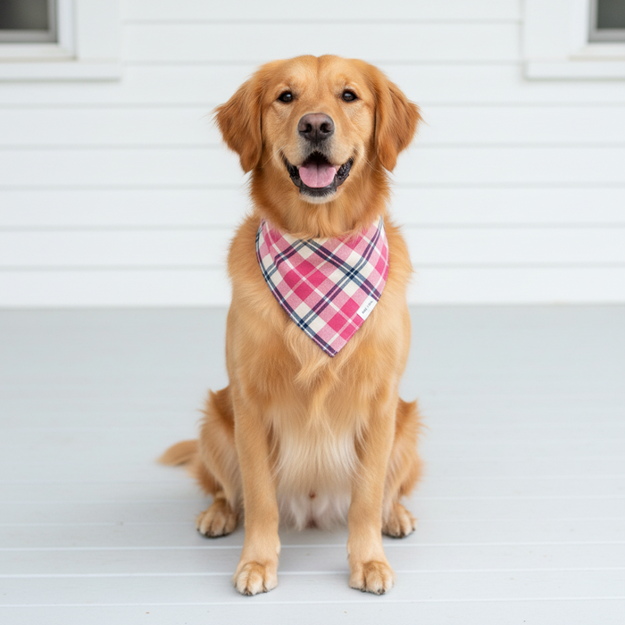 Wag + Tail Rose Plaid reversible dog bandana flat lay showing soft rose plaid side
