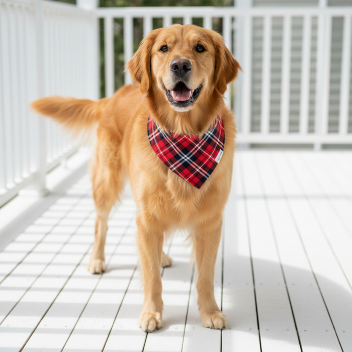 Wag + Tail Ruby Plaid reversible dog bandana flat lay showing deep red ruby plaid side