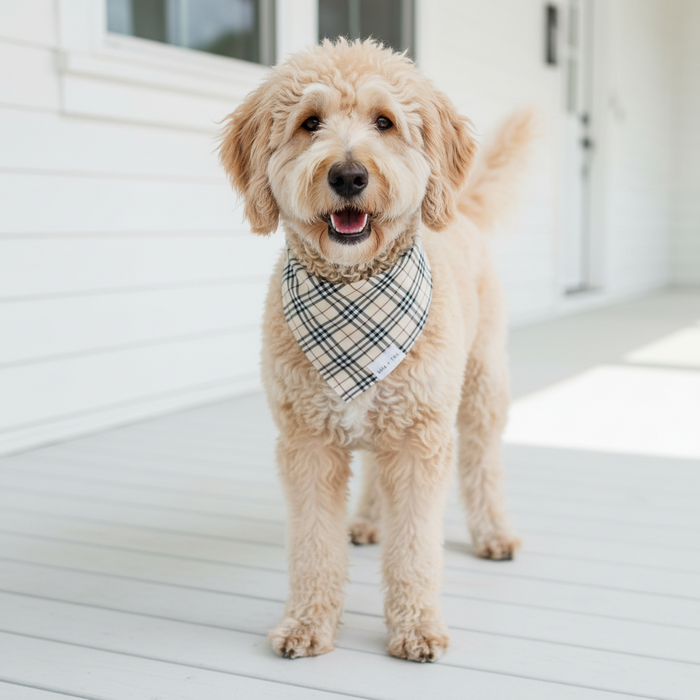 Wag + Tail Sandstone Plaid reversible dog bandana flat lay showing warm sandstone plaid side