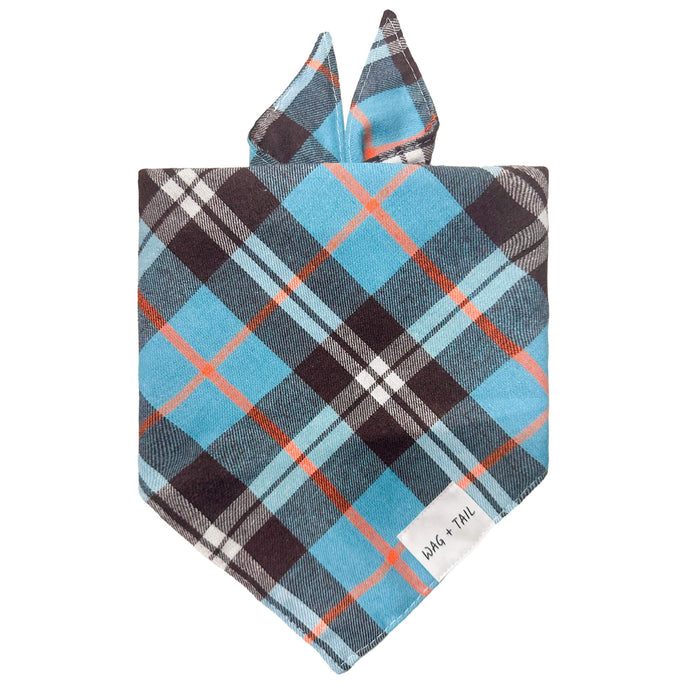 Atlantis Blue Plaid dog bandana lifestyle shot showing tie-on fit and plaid detail on dog