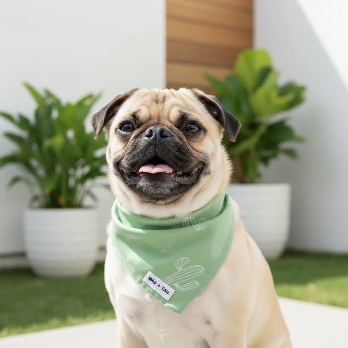 Wag + Tail Prickly Paws reversible tie-on bandana flat lay showing cactus print side