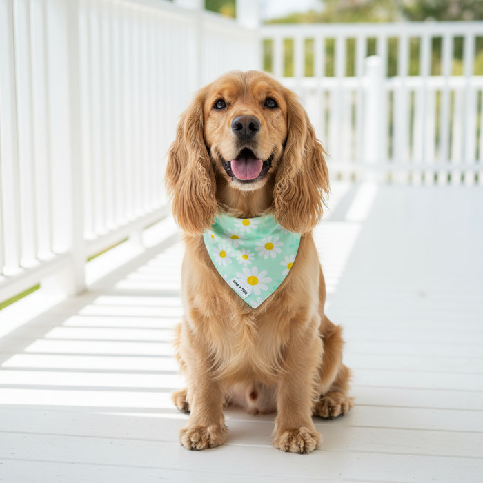 Wag + Tail Floral Wanderlust reversible tie-on bandana showing floral print side flat lay