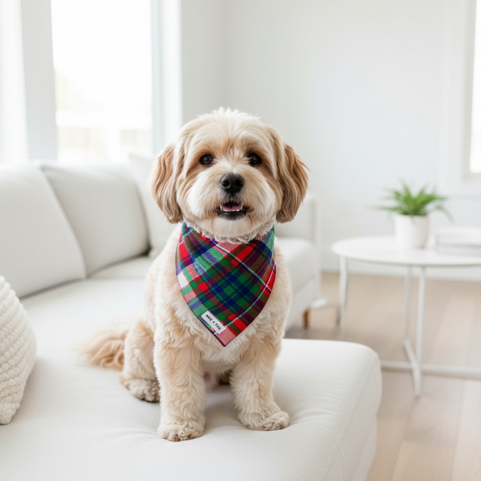 Wag + Tail Pawsitively Festive reversible bandana showing festive seasonal print side