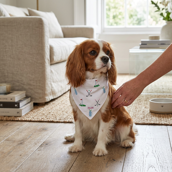 Sant and Abel Dog Bandana — S-M — view 2