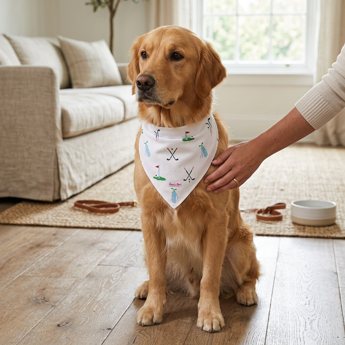 Sant and Abel Dog Bandana — S-M — view 1