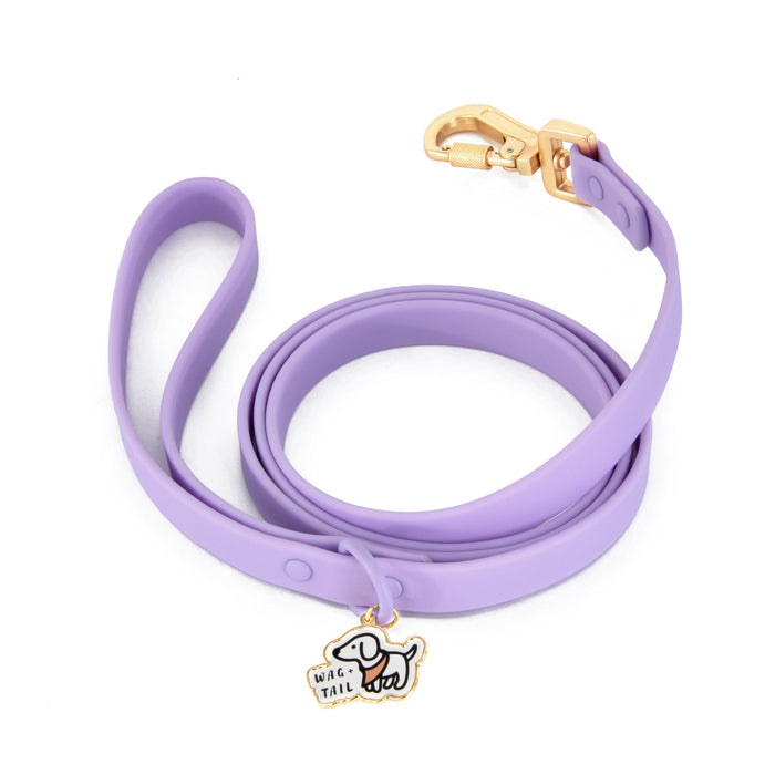 Lavender Waterproof PVC dog leash in use showing easy-clean surface and clip hardware
