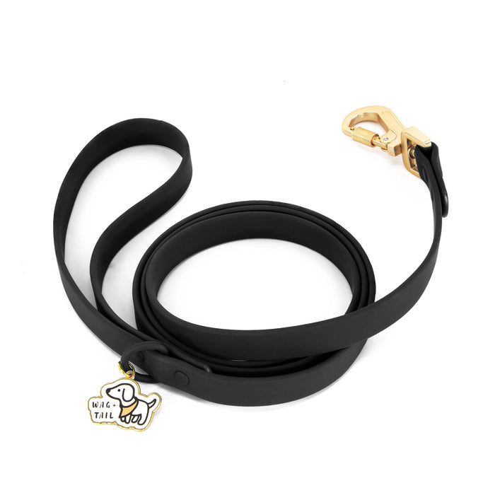 Midnight Waterproof PVC dog leash in use showing durable clip hardware on black leash